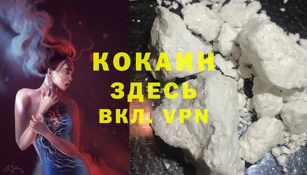 apvp Магадан